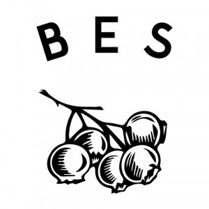 Logo Bes